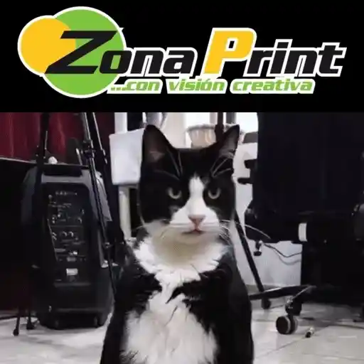 Figurinha: Zona Print Gato