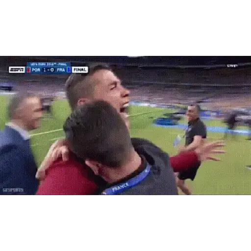 Figurinha: Portugal Campeão Euro 2016
