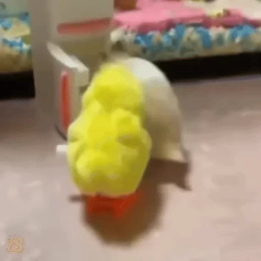 Figurinha: Hamster e seu brinquedo