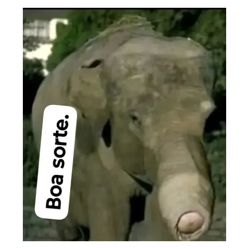 Figurinha: Boa sorte com elefante