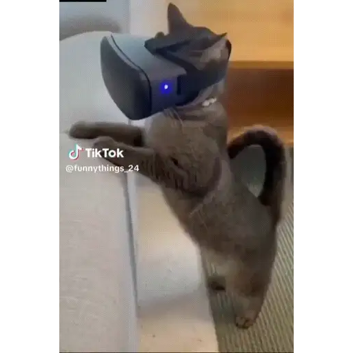 Figurinha: Gato de óculos VR