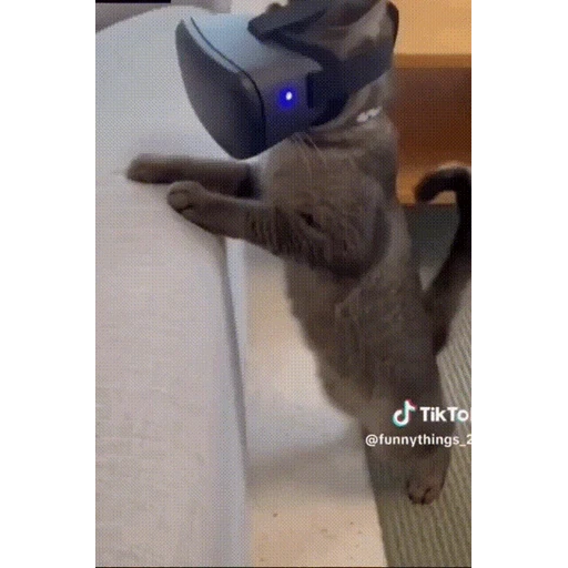 Figurinha: Gato com óculos de RV