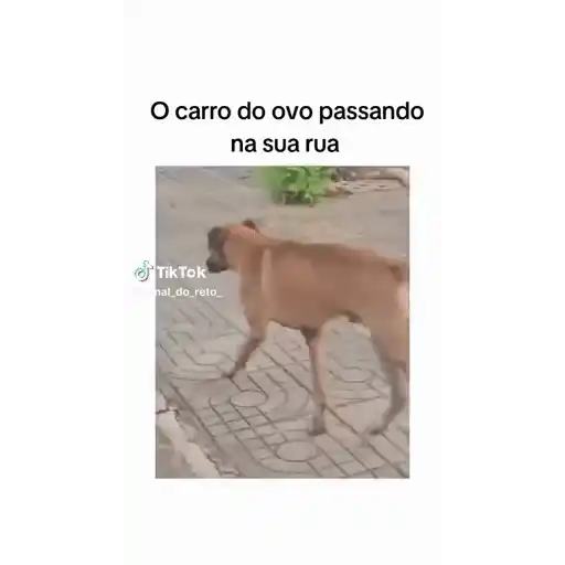 Figurinha: Cachorro correndo