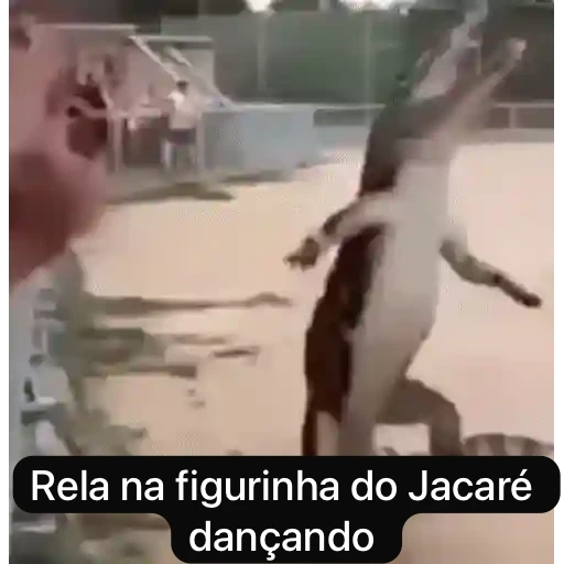Figurinha: Jacaré dançando
