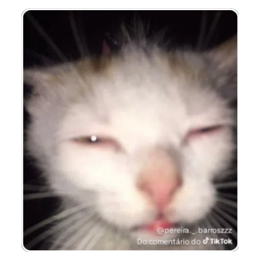 Figurinha: Gato com sono