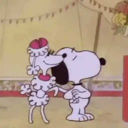 Figurinha: Snoopy recebe flores de poodle