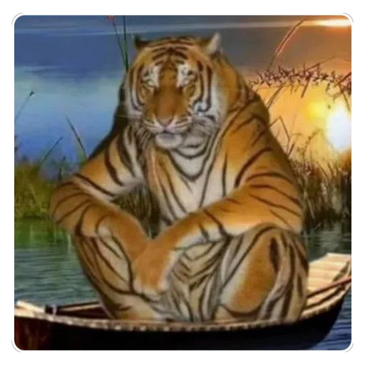 Figurinha: Tigre Meditando em um Barco