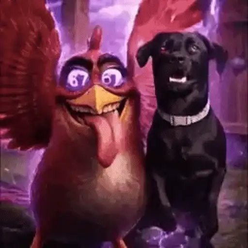Figurinha: Galinha e Cão Elétricos