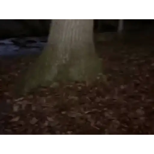 Figurinha: Gnomo correndo na floresta