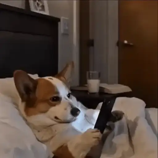 Figurinha: Cachorro Viciado em Celular