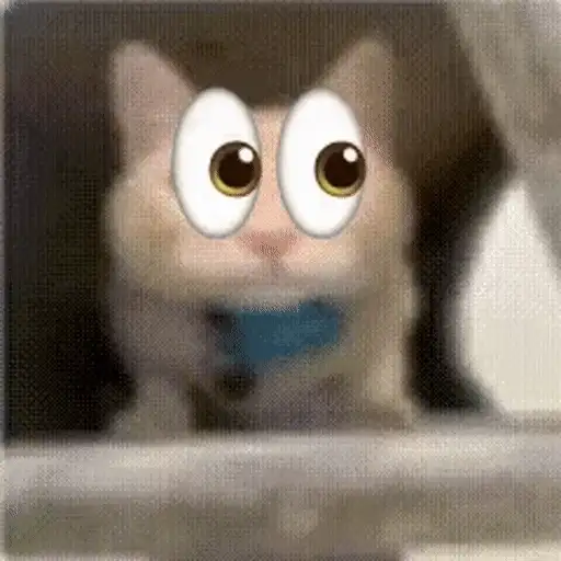 Figurinha: Gato com Olhos Engraçados