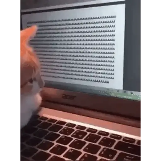 Figurinha: Gato digitando AAAAAA