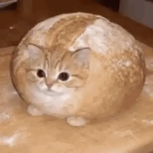 Figurinha: Gato Pão