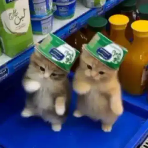Figurinha: Gatinhos com chapéu de iogurte