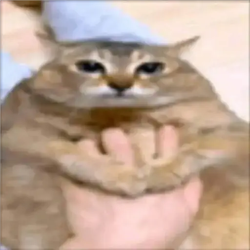Figurinha: Gato sendo segurado em pose engraçada