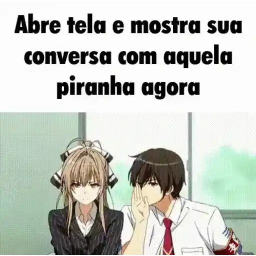 Figurinha: Abre tela e mostra sua conversa