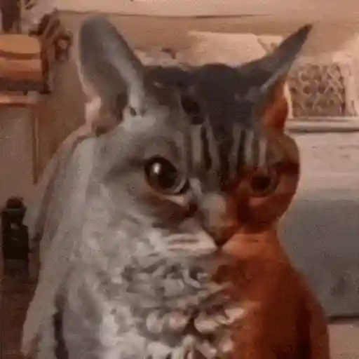 Figurinha: Gato com efeito glitch