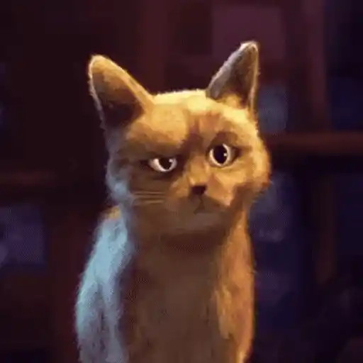Figurinha: Gato Surpreso