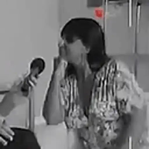 Figurinha: Entrevista com a Mulher da Capa