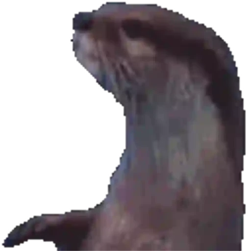 Figurinha: Lontra fofa animada