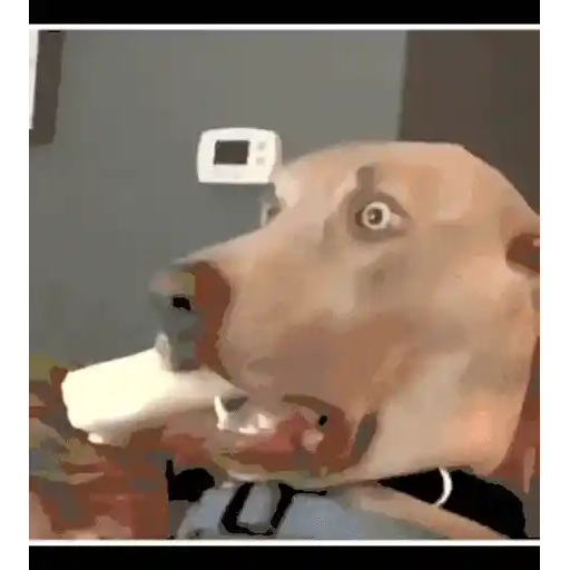 Figurinha: Cachorro comendo picolé
