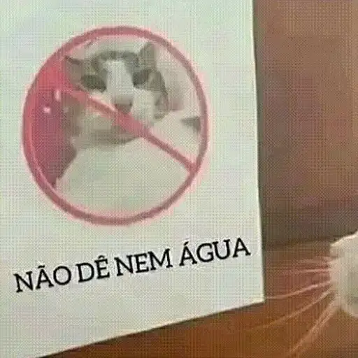 Figurinha: Gato Says "No"