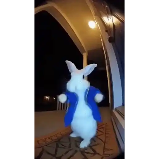Figurinha: Coelho Branco atrasado