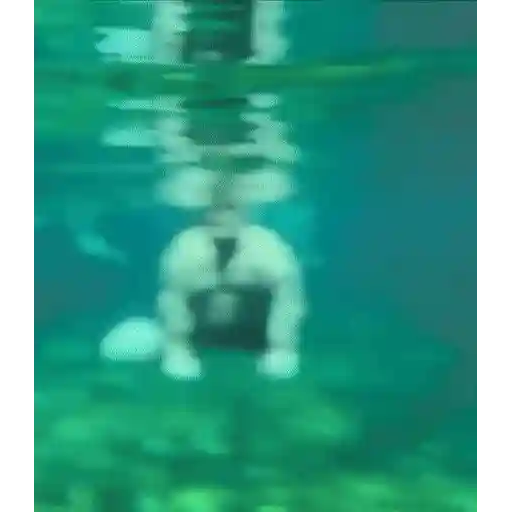Figurinha: Homem se transforma em golfinho