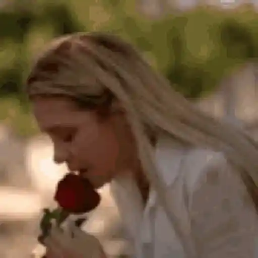 Figurinha: Homenagem com Rosa