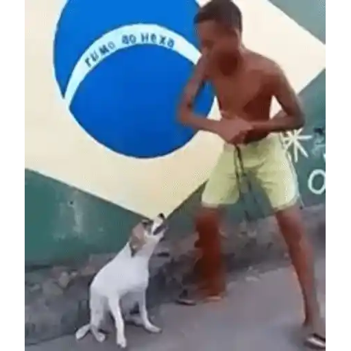 Figurinha: Rumo ao Hexa com pet