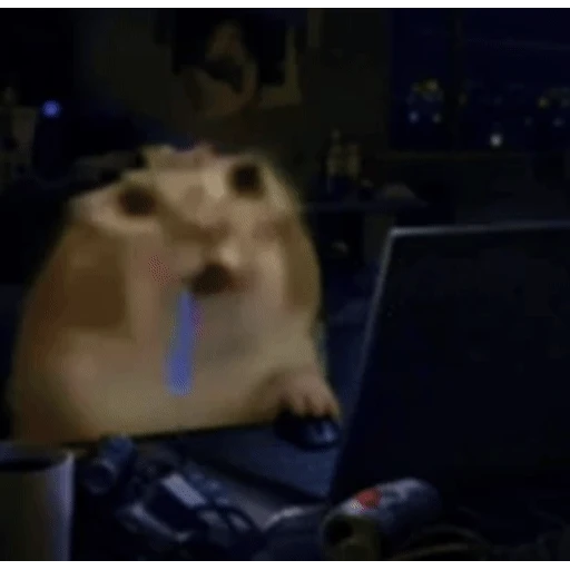Figurinha: Hamster gamer cansado