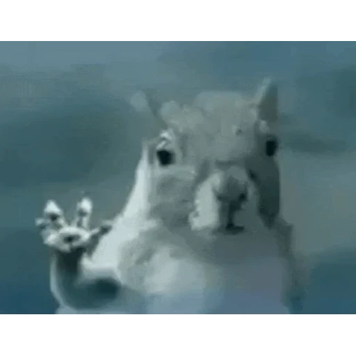 Figurinha: Esquilo dando tchau