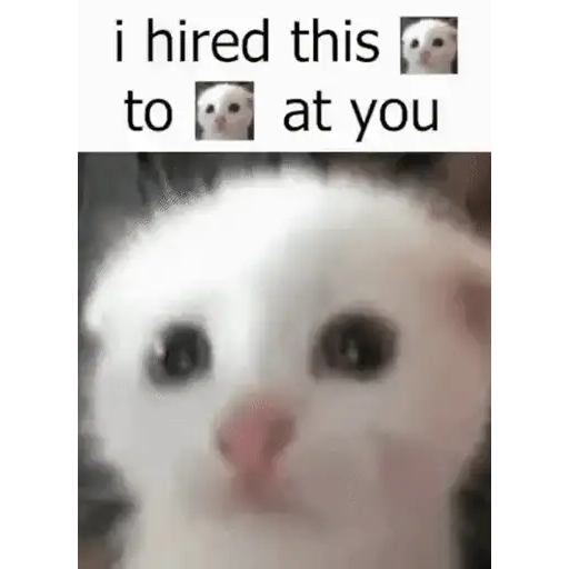 Figurinha: Gato contratado para gritar