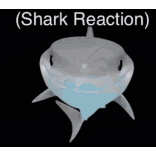 Figurinha: Shark Reaction