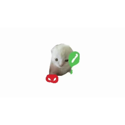 Figurinha: Gatinho rejeita chamada