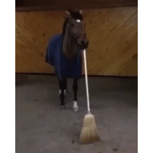 Figurinha: Cavalo faxineiro