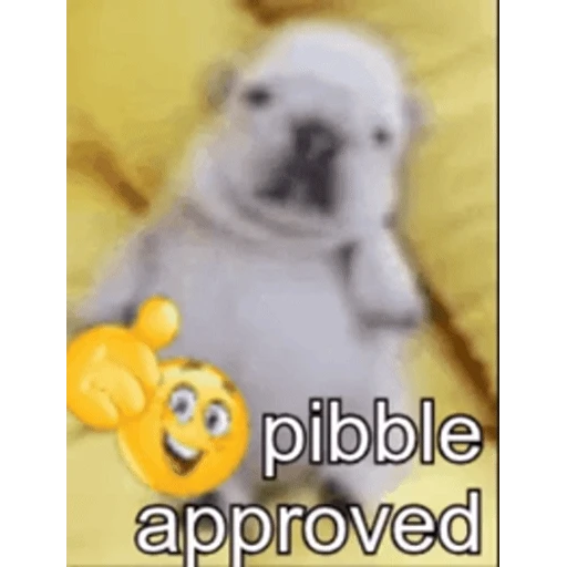 Figurinha: Pibble Approved