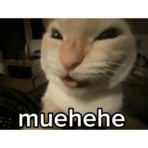 Figurinha: Gato Muehehe