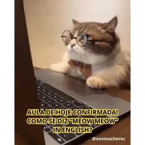 Figurinha: Gatinho professor
