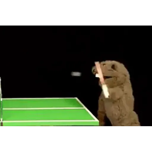 Figurinha: Urso joga tênis de mesa
