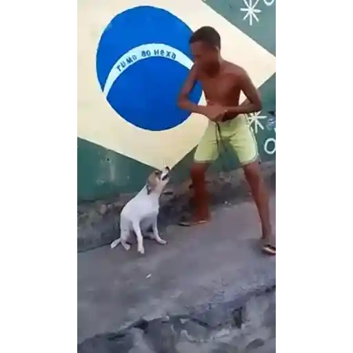 Figurinha: Rumo ao Hexa com cachorro