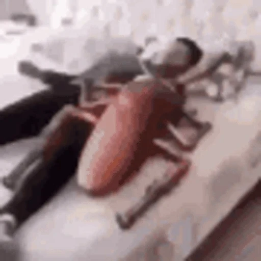 Figurinha: Homem lutando contra barata