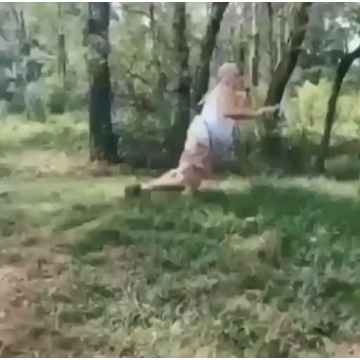 Figurinha: Fada do Bosque