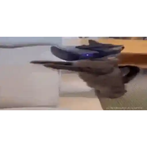 Figurinha: Gato com headset VR