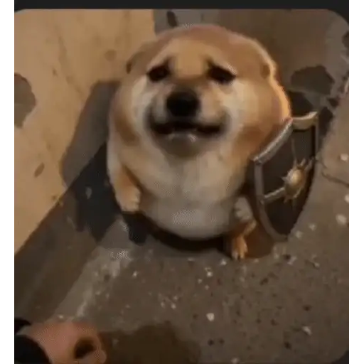 Figurinha: Cachorrinho Guerreiro