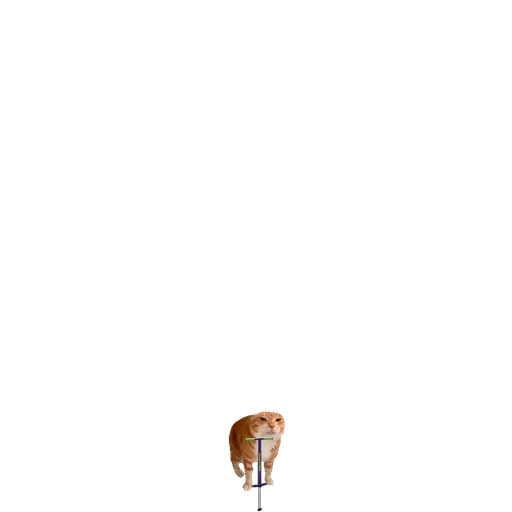 Figurinha: Gato no Pula-Pula