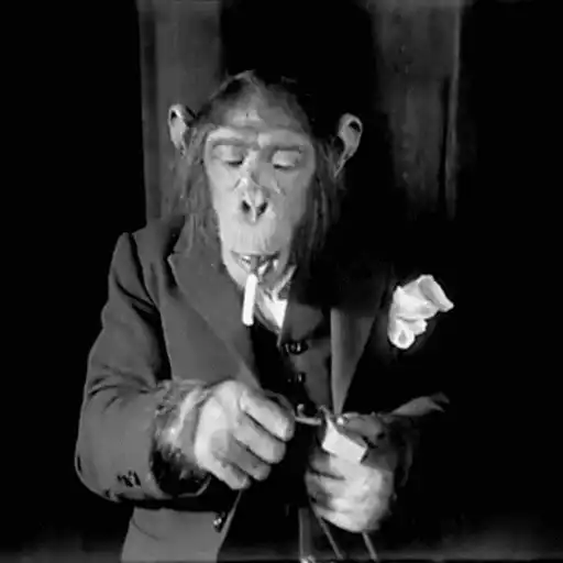 Figurinha: Chimpanzé de terno fumando