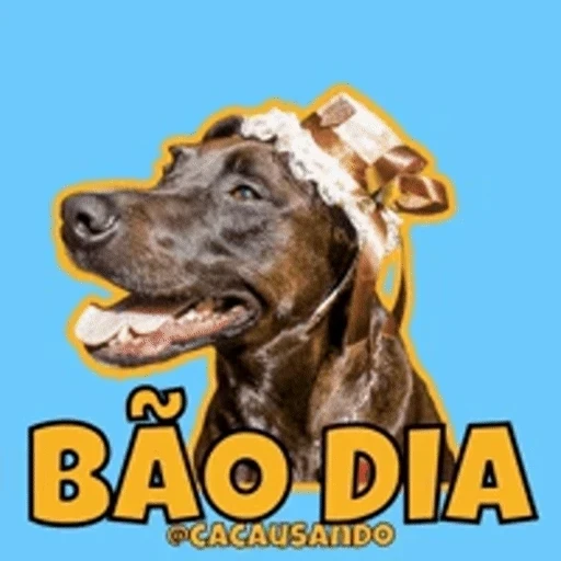 Figurinha: Cachorro Bão Dia
