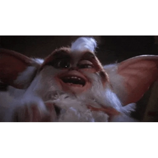 Figurinha: Gizmo rindo