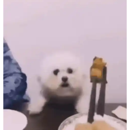 Figurinha: Cachorrinho fofo fazendo dancinha